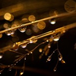 joni-niemela-drops Amazing Macro Nature Photography by Joni Niemelä pictures nature flora art