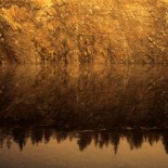 joni-niemela-reflection Amazing Macro Nature Photography by Joni Niemelä pictures nature flora art